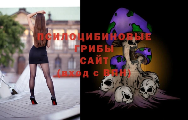 прущие крисы Армянск