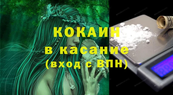 эйфоретик Арсеньев