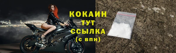 эйфоретик Арсеньев