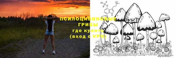 прущие крисы Армянск